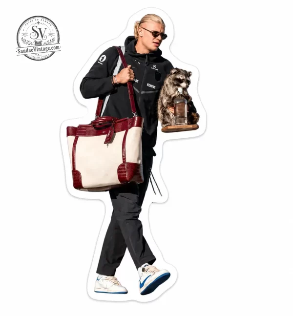 Erling Haaland with Wine Raccoon at the Airport Funny Custom Shaped Plush Pillow 2 The Erling Haaland pillow displayed in a modern bedroom aesthetic